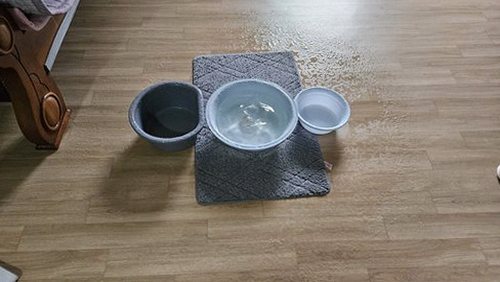부산 남구 누수탐지 거실 천장 얼룩과 벽면의 수분 상태를 점검하는 모습
